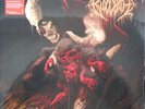 Bloodbath - Nightmares Made Flesh - Red Vinyl Record NEW