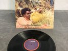 THE STYLISTICS SELF TITLED Vinyl LP Record 1971 SRC PRESSING