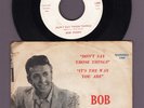Bob Perry Don't Say Those Things It's The Way Bandera Rocker 45 Record Pix Sleev