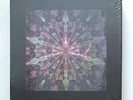 Blackpink 1st Vinyl LP The Album Limited Edition 18888 Box Set Express Genuine