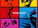COWBOY BEBOP LP Box Set First Press Limited Edition Analog 11Disc Record form JP