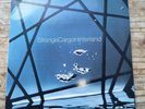 WILLIAM ORBIT STRANGE CARGO 