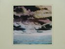 Teena Marie - Wild And Peaceful (LP, Album) VG+ - 3457573302