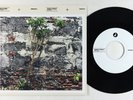 Latin Funk 45 - Dept Of Edu - Barrio Outreach/Cuban Studies - 2015 release VG++