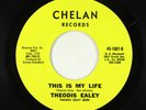 Funk 45 - Theodis Ealey - This Is My Life - Chelan - VG+ obscure