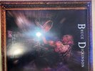 bruce dickinson vinyl