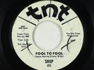 Northern Soul 45 - Shep - Fool To Fool - TNT