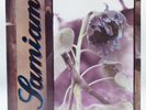 Samiam – Samiam LP * First Press USA 1990 Purple