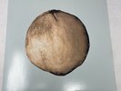 Typhoon Hunger & Thirst / A New Kind Of House Double EP Limited 20/100