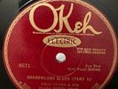 Beauty-Race Electric OKeh 8571 Troy Floyd-Shadowland Blues (San Antonio 1928)