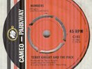 TERRY KNIGHT & THE PACK*NUMBERS*GARAGE*PSYCH*CAMEO-PARKWAY*hear it