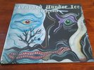 Trapped Under Ice 7