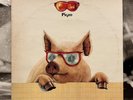 IVAN GRAZIANI - PIGRO LP EX-/VG+/EX 1978 ITALY 1st PRESS ZPLN 34028