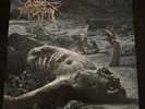 CATTLE DECAPITATION - THE ANTHROPOCENE EXTINCTION, COLOURED vinyl LP, 500 COPIES
