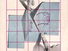 Pink Military - Do Animals Believe In God? (VINYL)