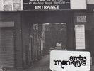 Arctic Monkeys - When The Sun Goes Down (VINYL)