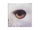 Mari Boine - Gula Gula (VINYL)