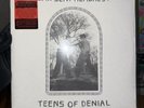 Teens of Denial by Car Seat Headrest (Record, 2016)