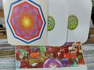 THE FARM BAND 1972 Hippie Psych Private Press 2 LP w/UNUSED POSTER Vinyl Record