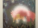 Meat Puppets II 1984 SST Records Vinyl LP SST 019 First Pressing + Insert RARE