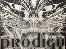 The Prodigy Charly 1991 Uk Xl Vinyl 12 