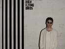Noel Gallagher's High Flying Birds - Chasing Yesterday 180G Vinyl LP (New)