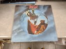 Meat Loaf RSD Bat Out Of Hell 2 Back Into Hell Vinyl Picture Disc Double NM