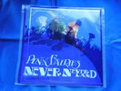 Pink Fairies Never Neverland LP Tapestry 2006 Pressing Unplayed