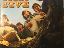 Count Five: Psychotic Reaction Vinyl Record Album (Double Shot LP-DSM-1001 Mono)