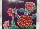 Todd Rundgren, SOMETHING / ANYTHING, LP record Bearsville 2BX 2066, EX, w/insert