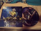 STUNNING 33T PICTURE DISC IRON MAIDEN