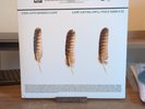 The Appleseed Cast Low Level Owl I & II 20th Anniversary Edition 3LP Teal Vinyl