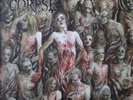 Cannibal Corpse - The Bleeding (Record)