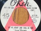 RARE NORTHERN SOUL 45rpm RECORD - TAN GEERS - OKEH ORIGINAL  LET MY HEART AND...