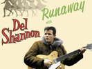 Del Shannon Runaway (Vinyl) 12