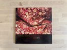 Raphael Saadiq / Instant Vintage 2002 US 2LP Universal Records - Unplayed Promo