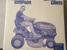 Sturgill Simpson Cuttin' Grass Vol 1 Blue Vinyl Me Please /2500 VMP Alt Cover
