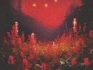 The Silent Planet - Superbloom [New Vinyl LP]  Still In Celophane, Great Album