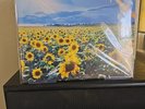 STONE TEMPLE PILOTS THANK YOU NEW LP