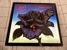 Thin Lizzy [EX TO NM] ORIGINAL VINYL LP Black Rose