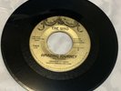 45 RPM RECORD Set PROMO See Me, Feel Me  From Tommy, The Who Radio Station Copy