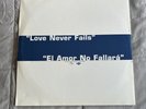 Sandy & Junior Love Never Fails / El Amor No Fall 12