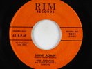 Doo-Wop/R&B Rocker 45 - Adelphis - Shine Again/Kiss-A-Kiss - Rim