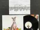 SHELLAC EXCELLENT ITALIAN GREYHOUND LP + CD US 2007  Mint