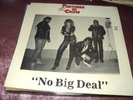 PARTNERS IN CRIME NO BIG DEAL LP SEALED MUTHA RECORDS 026 NJ PUNK  FROM 1985