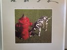 Rush- Signals  M-/VG+ LP