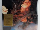 Gloria Estefan Into The Light 12