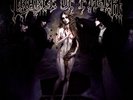 Cradle of Filth Cryptoriana: The Seductiveness Of Decay (Gold Colored Vinyl, Gol