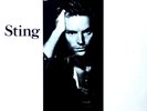 Sting - Nothing Like The Sun - 2LP + Innerbag, Insert (VG+) '