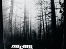 THE CURE:  A Forest Rare Post Punk Rock 12